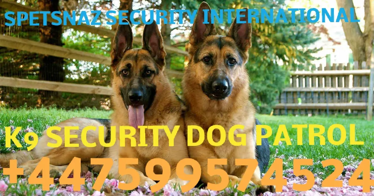  Security Patrol Dogs - Guard Dogs for Hire-Security Guard Dogs, Security Company-Dog Handler Security - Secure Site-Security Guard Dogs & Security Services -Security Dog Handlers London-Manchester Detection Dogs | Sniffer Dogs | Canine Search-Feedback Explosive Detection Dogs | Sniffer Dogs | Specialist Security-Search Dogs & Sniffer Dogs London-Narcotics Search Dogs & Explosive Search Dog in London